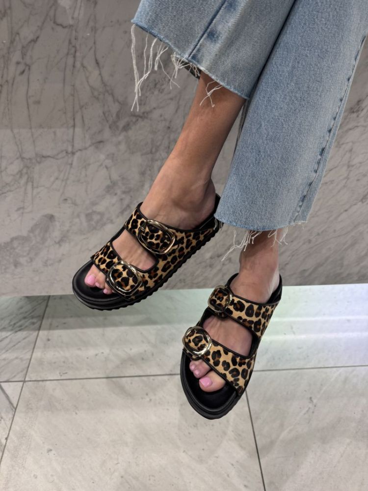  LEOPARD