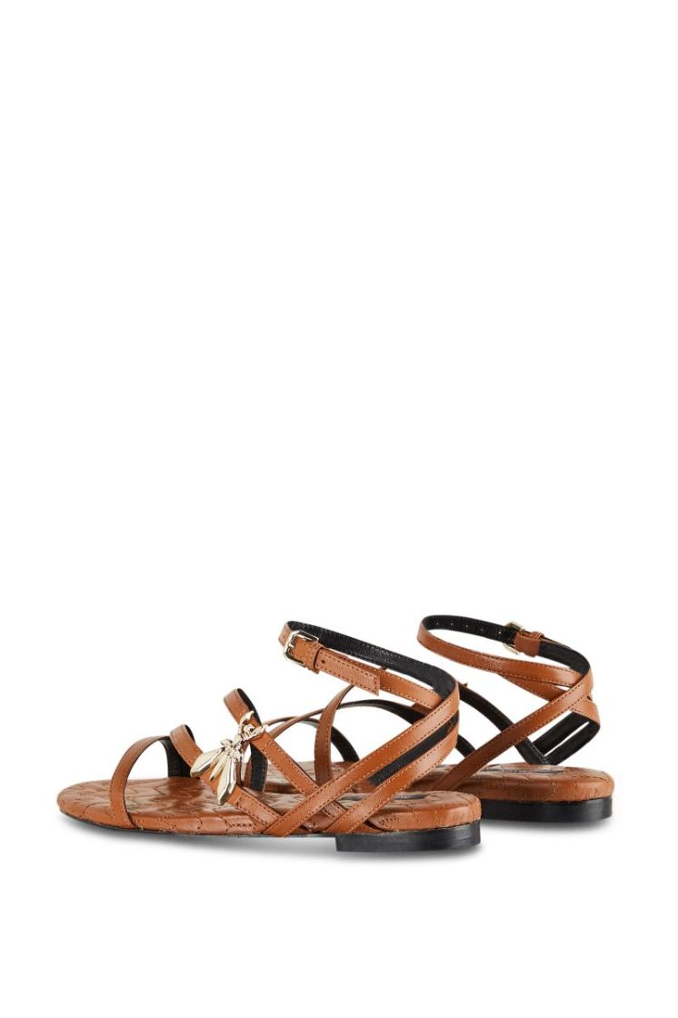  B815 SUMMER