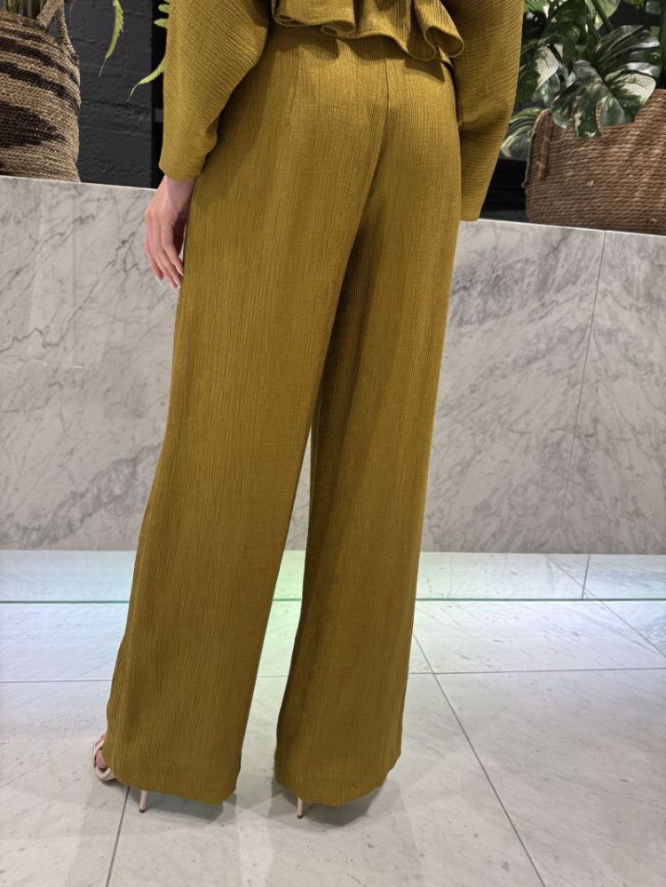  OLIVE