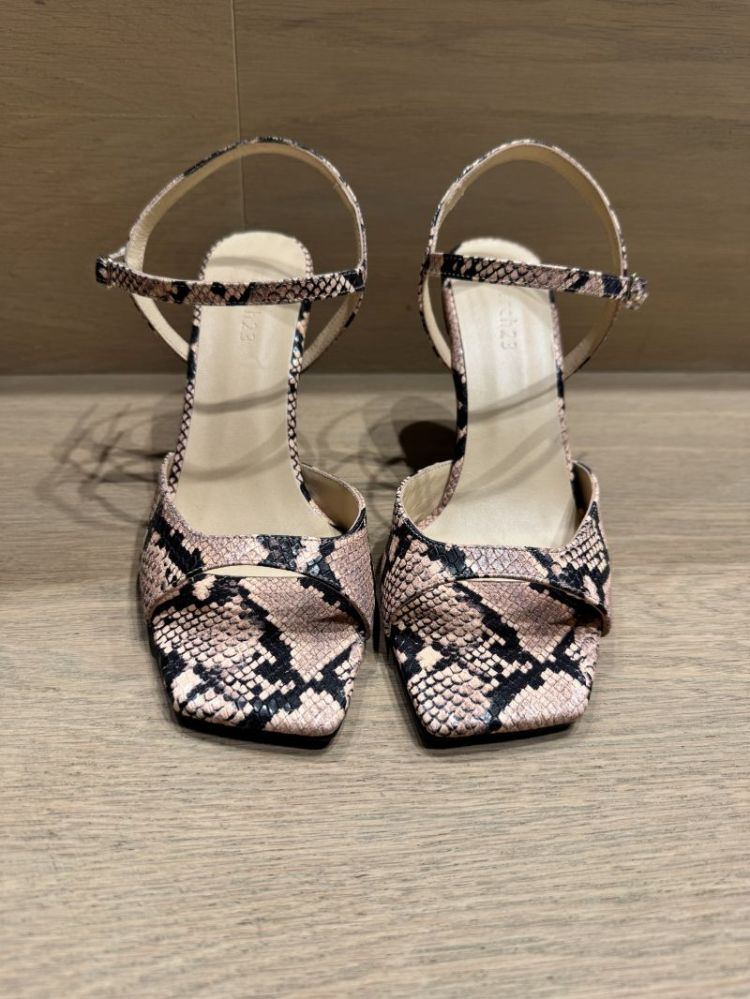  POWDER PYTHON