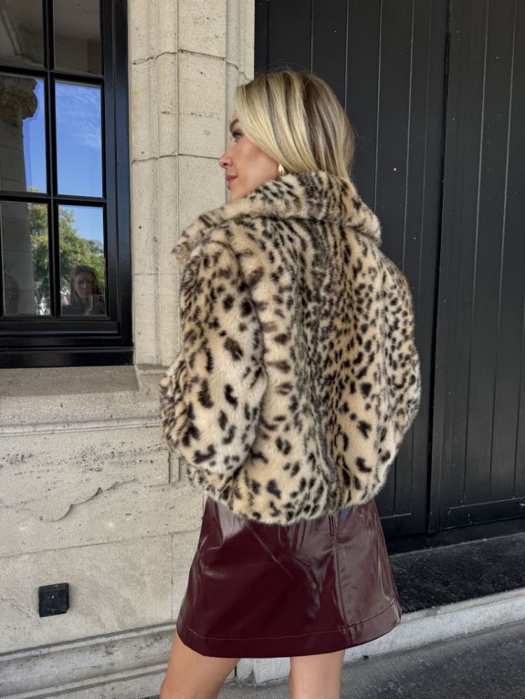  LEOPARD